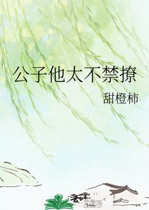《公子他太不禁撩》