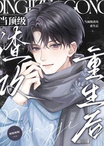 《当顶级渣攻重生后》